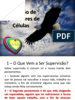 Manual Do Supervisor de Células