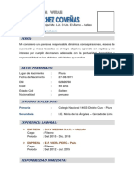 Curriculum Vitae