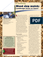 Wood Chips PDF