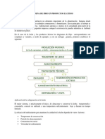 Cadena de Frio en Productos Lácteos Conservacion 1