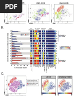 Berger Et Al 2019, Figure 2