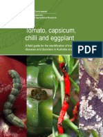 Identification of Insect Pests, Beneficials, Disease & Disorders - Tomato, Chilli & Eggplant