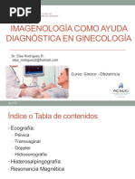 Imagenología Como Ayuda Diagnóstica en Ginecología - Dra. Rodriguez