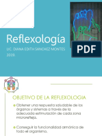 Reflexologia 2019