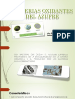 Bacterias Oxidantes Del Azufre