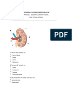 Urinary System Quiz