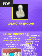 Grupo Premolar