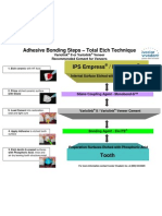 Adhesion Steps Total Etch Emax Empress