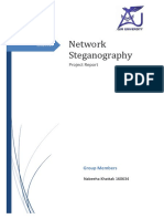 Network Steganography Report