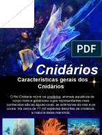 Cnidarios PDF