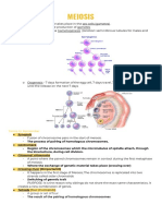 Handout Meiosis