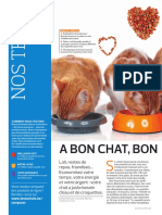 Croquettes Pour Chats Fichier PDF