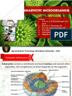 Eukaryotic Microorganism