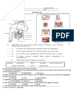 ST - Science Digestive System