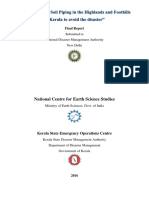 Soil Piping Final Report