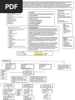 Risk Factors For Pneumonia:: Cultural Considerations