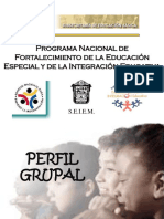 Perfil Grupal