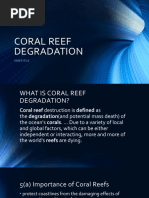 Coral Reef Degradation