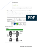 Exploración de Fondo de Ojo