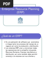 Enterprise Resource Planning (ERP)