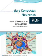 2da Clase NEURONA Ultimo - PPT Ultimo Plus 2018