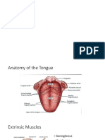 SCC Tongue Anatomy and Others