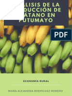 Análisis de La Producción de Plátano en Putumayo