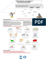 Guia 1 ¿Que Es Una Reac. Quimica 8° Iii