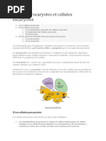 Les Eucaryotes : Les Cellules Eucaryotes