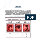 Primer Trimestre de EmbarazoO