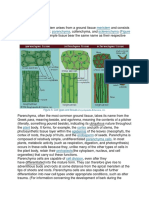 Meristem Parenchyma Sclerenchyma 5: Figure 5: Cell Types and Tissues