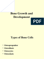 Bone Growth and Development