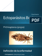 Ectoparásitos Bovinos