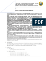 Práctica #04 Estructura Anatómica Del Pescado