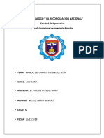 Informe de Identificacion