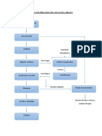 Diagrama de Flujo de Celulosa