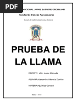 Prueba de La Llama