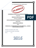 Monografia Del Trafico Ilicito de Drogas.