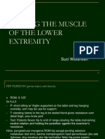 Testing The Muscle of The Lower Extremity