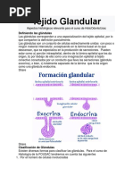 Tejido Glandular