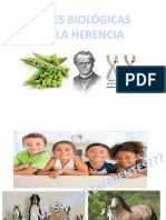 Bases de La Herencia