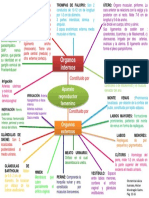 Mapa Conceptual Anatomia Aparato Reproductor Femenino