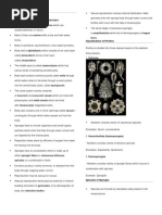 Larva.: General Characteristics of Porifera