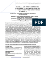 Spilanthes Acmella and Physical Exercise Increased Testosterone Levels and Osteoblast Cells in Glucocorticoid-Induced Osteoporosis Male Mice