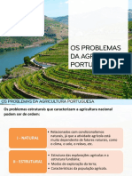 Problemas Da Agricultura Portuguesa