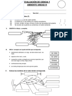 Evaluación de Ciencia