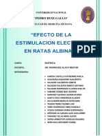 Informe Final 01 Ratas