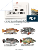 Extreme Evolution - SA Apr 2015