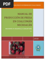 Manual para Cultivo de Fresa en Coalcoman