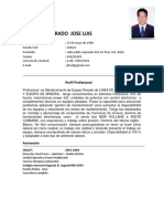 CV - Jose Flores FSLN